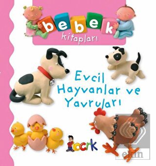 Evcil Hayvanlar ve Yavruları