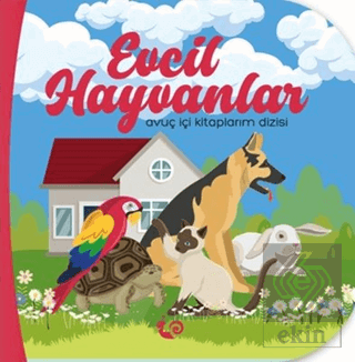 Evcil Hayvanlar
