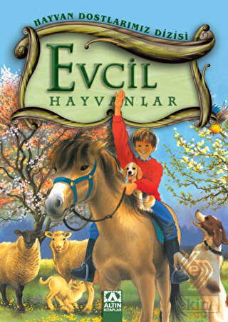 Evcil Hayvanlar