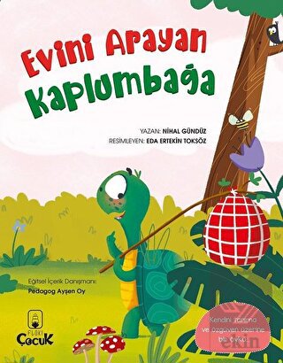 Evini Arayan Kaplumbağa