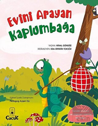 Evini Arayan Kaplumbağa