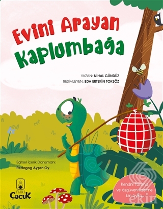 Evini Arayan Kaplumbağa