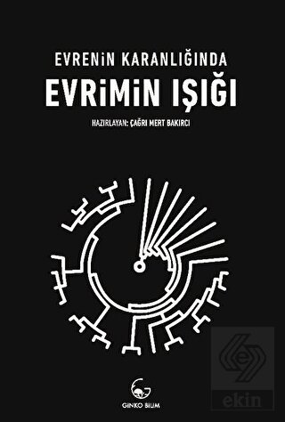 Evrenin Karanlığında Evrimin Işığı
