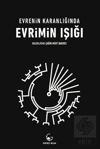 Evrenin Karanlığında Evrimin Işığı