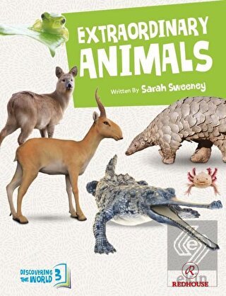 Extraordinary Animals