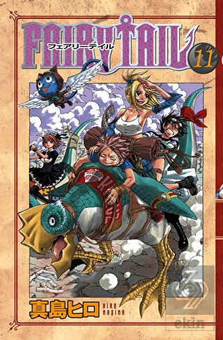 Fairy Tail 11
