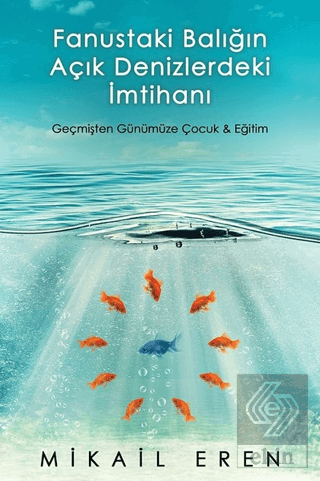 Fanustaki Balığın Açık Denizlerdeki İmtihanı