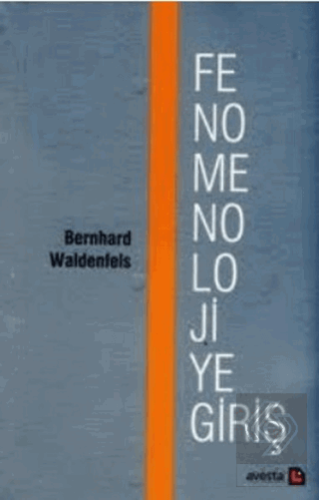 Fenomenolojiye Giriş