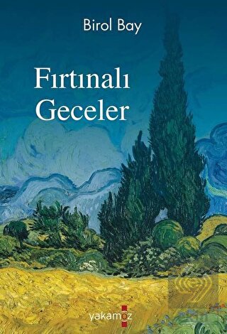Fırtınalı Geceler