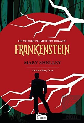 Frankenstein (Bez Ciltli)