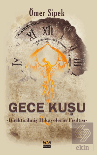 Gece Kuşu