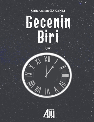 Gecenin Biri