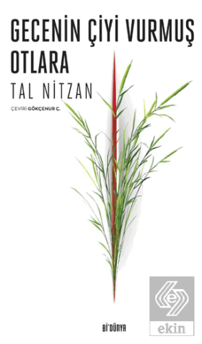 Gecenin Çiyi Vurmuş Otlara