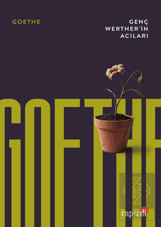 Genç Werther'in Acıları