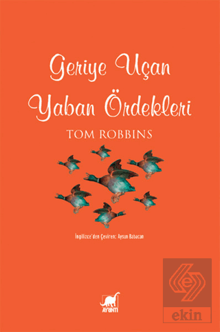 Geriye Uçan Yaban Ördekleri