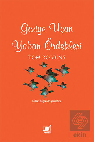 Geriye Uçan Yaban Ördekleri