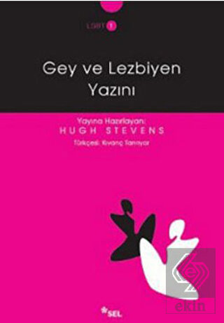 Gey ve Lezbiyen Yazını