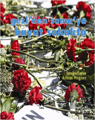 Gezi\'den Soma\'ya Hayat Sokakta