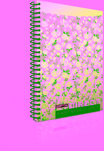 GIPTA DIRECT SP.KARTON KAP.DEF.A4-120 YP.ÇİZ.