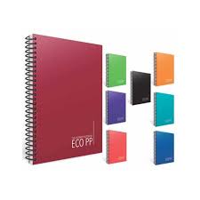 Gıpta Eco PP A5 Spralli 80 sayfa Kareli Defter