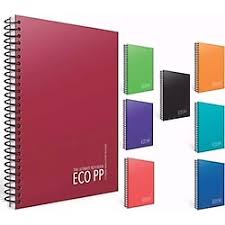 GIPTA EKO PP SP A4 60 YP KARELİ