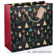 GIPTA EMAS B5 KARTON ÇANTA