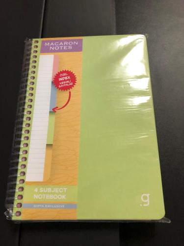 GIPTA MACARON DEFTER SPR.SEP.SERT KAP. 17*24 120 ÇİZGİLİ