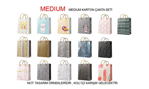 GIPTA MEDIUM KARTON ÇANTA SETİ