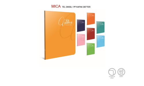 GIPTA MICA TEL DKŞ.PP KPK.DEF.A4-100 YP.ÇİZ.
