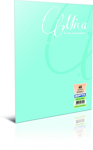 GIPTA MICA TEL DKŞ.PP KPK.DEF.A4-80 YP.ÇİZ.