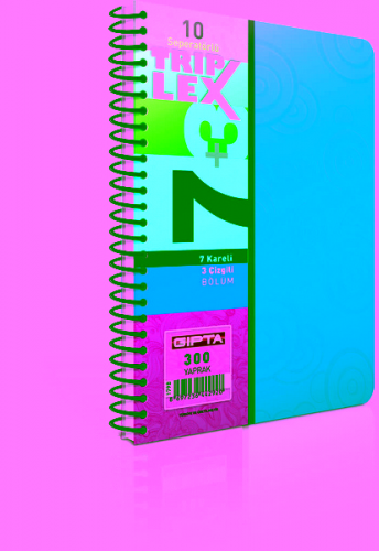 GIPTA TRIPLEX SP.SPR.PP KPK.A4 240YP.5+3 DEF. NET