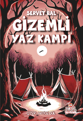 Gizemli Yaz Kampı