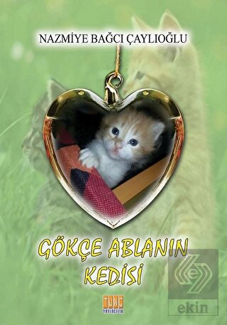 Gökçe Ablanın Kedisi