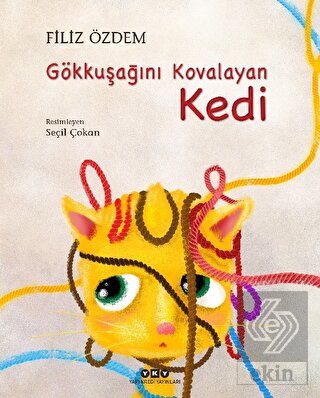 Gökkuşağını Kovalayan Kedi