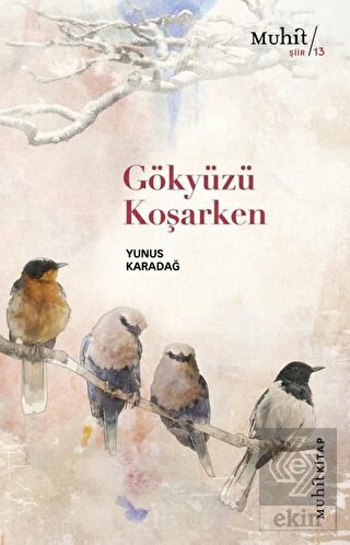 Gökyüzü Koşarken