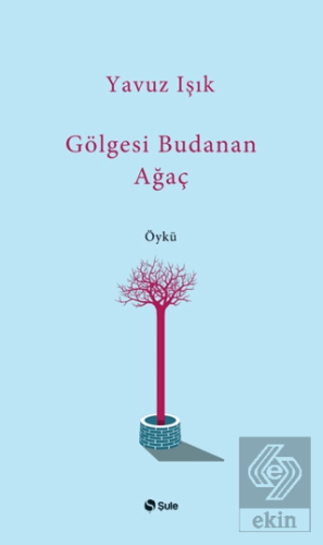 Gölgesi Budanan Ağaç