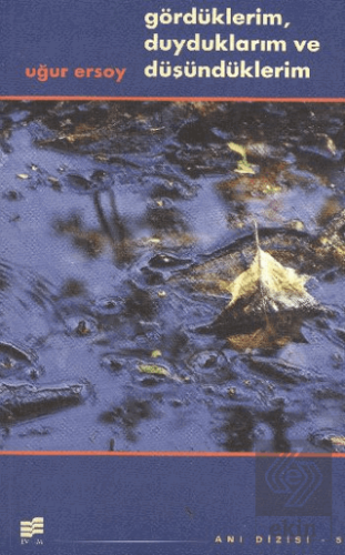 Gördüklerim, Duyduklarım Ve Düşündüklerim