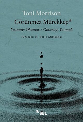 Görünmez Mürekkep: Yazmayı Okumak - Okumayı Yazmak