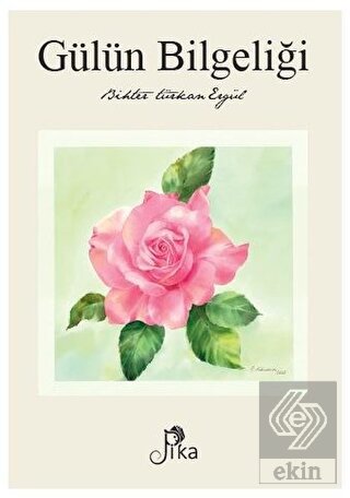 Gülün Bilgeliği