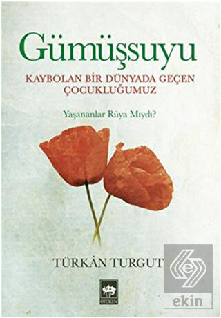 Gümüşsuyu