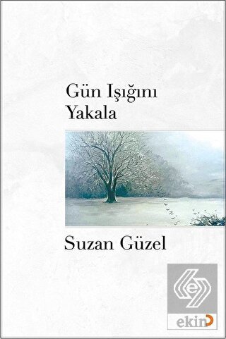 Gün Işığını Yakala