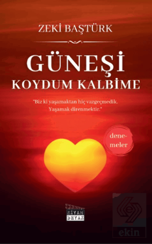 Güneşi Koydum Kalbime
