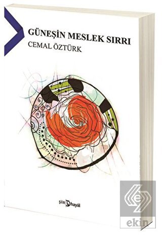 Güneşin Meslek Sırrı