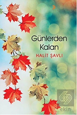 Günlerden Kalan
