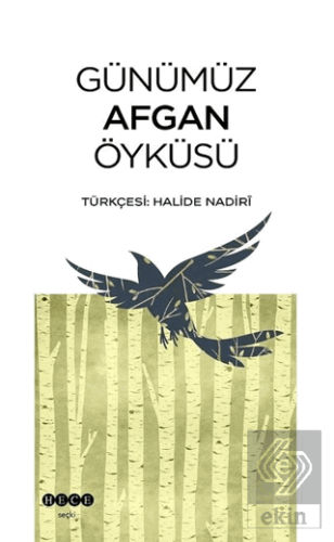 Günümüz Afgan Öyküsü