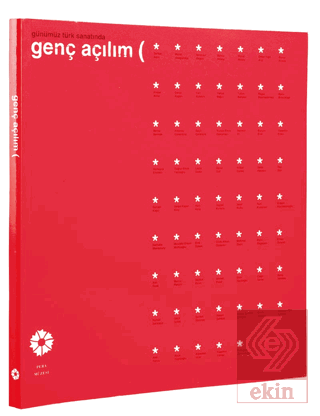 Günümüz Türk Sanatında Genç Açılım