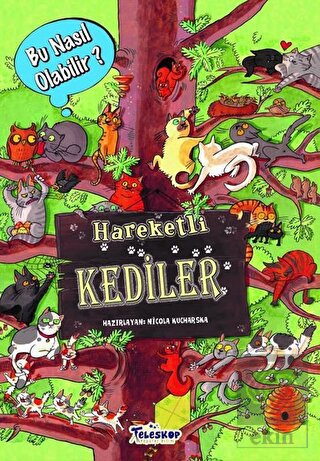 Hareketli Kediler – Bu Nasıl Olabilir?
