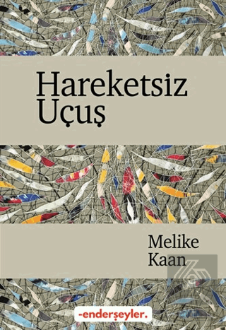 Hareketsiz Uçuş