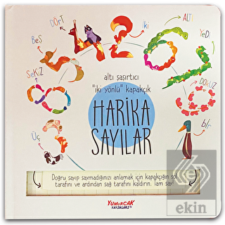 Harika Sayılar (Kapakçıklı)