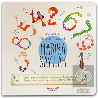 Harika Sayılar (Kapakçıklı)